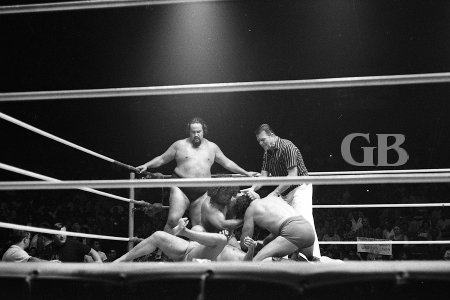 All four wrestlers tussle on the mat in the corner.