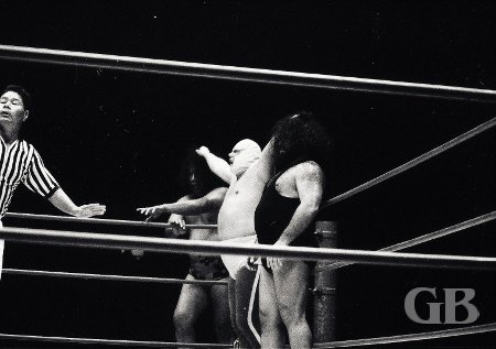 Ripper Collins has the fingers of both of his hands hopelessly tangled in Peter Maivia's and Neff Maiava's hair.