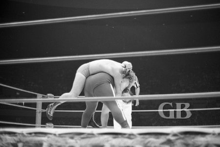 Gorilla Monsoon manages to escape from the grips of the Abdominal Stretch
