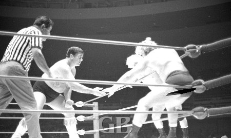 Ray Stevens and Nick Bockwinkel try to lure Wahoo into the corner.