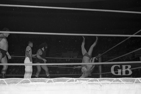 Ray Stevens get thrown into his partner Pat Patterson in the corner.