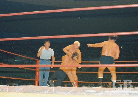 Ripper Collins works over Billy Francis