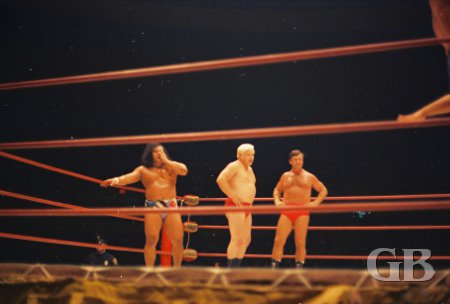 Peter Maivia, Ray Stevens, and Ed Francis stand ready to do battle